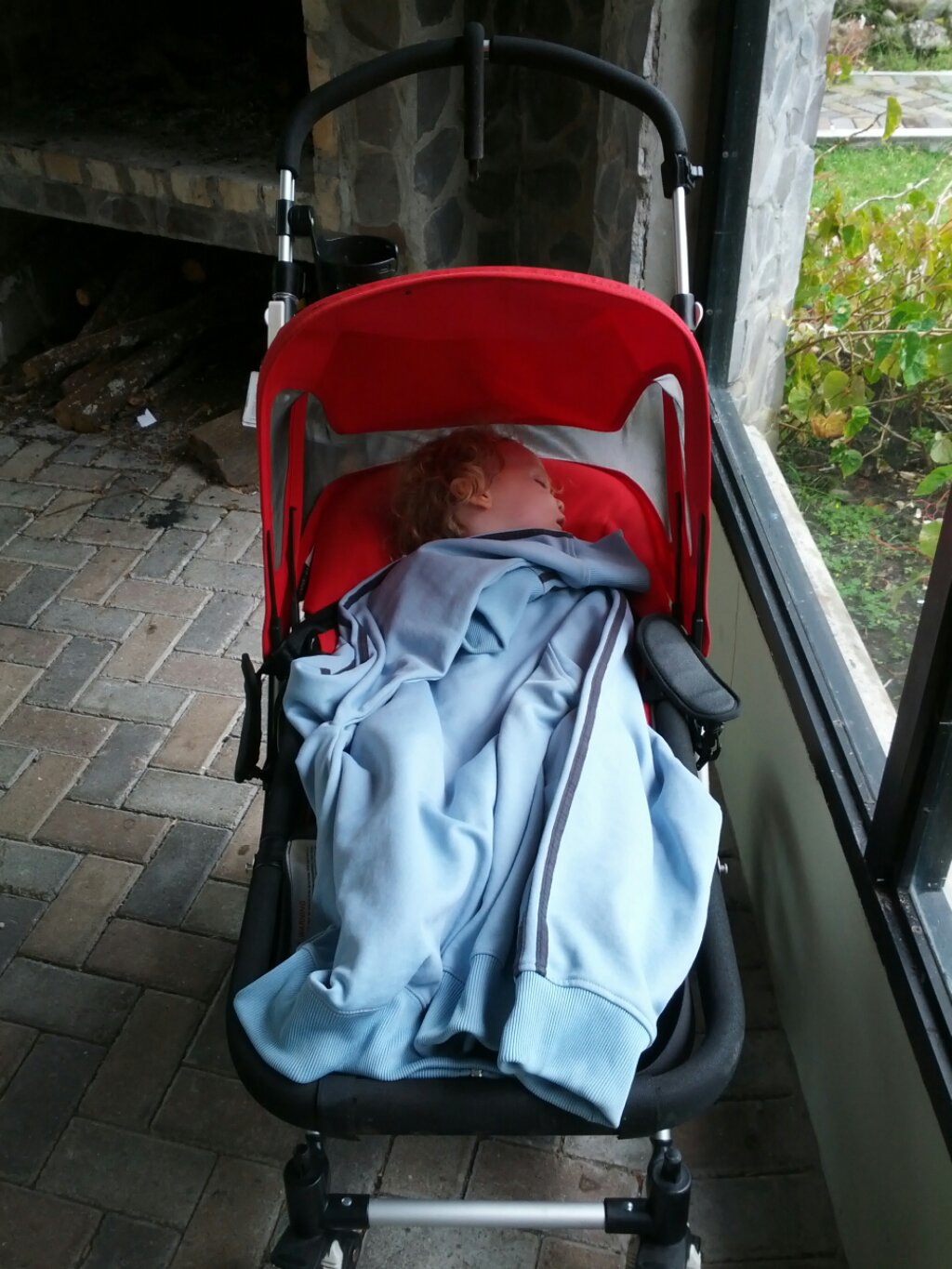 Frankie sleeping in the stroller